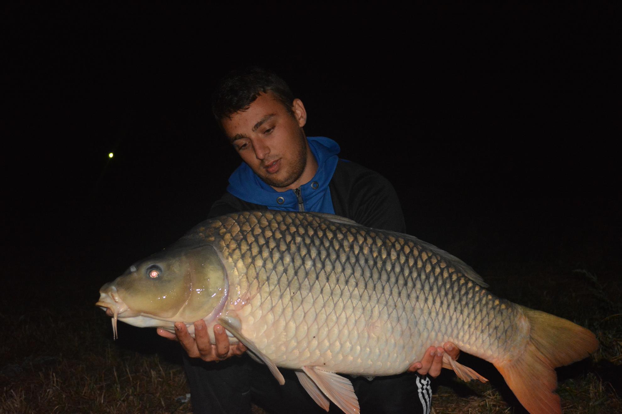 Hermes Peris 13.09.2014 - Captura...Crap comun 15.5 kg :)